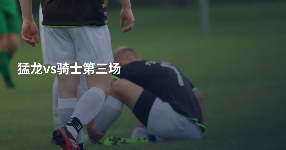 猛龙vs骑士第三场