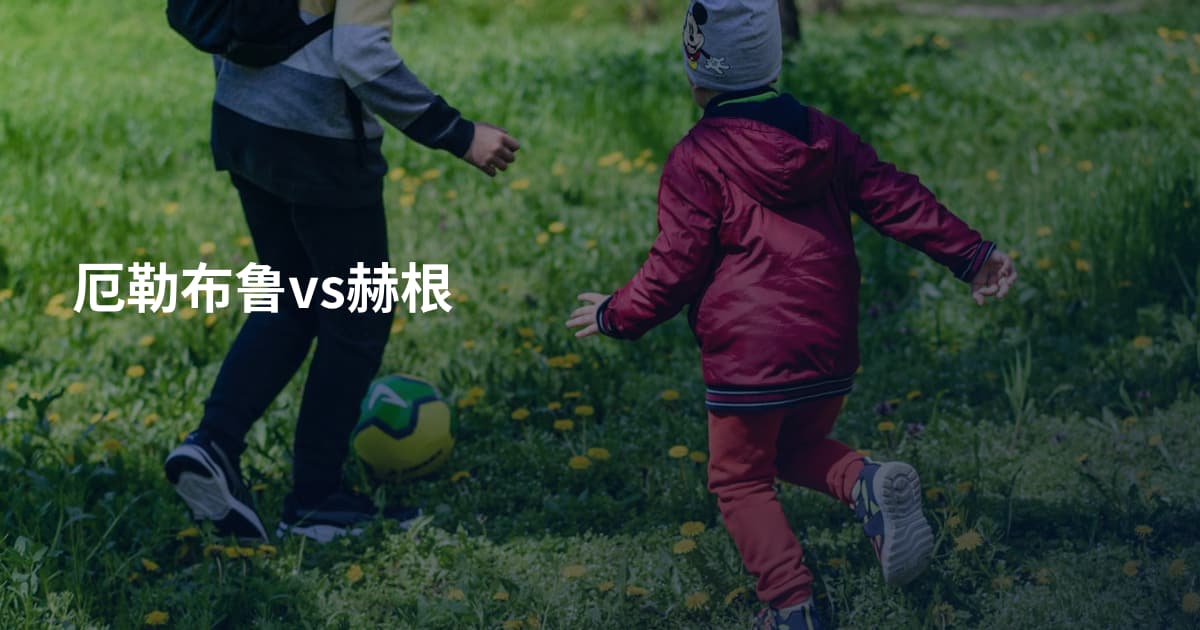 厄勒布鲁vs赫根
