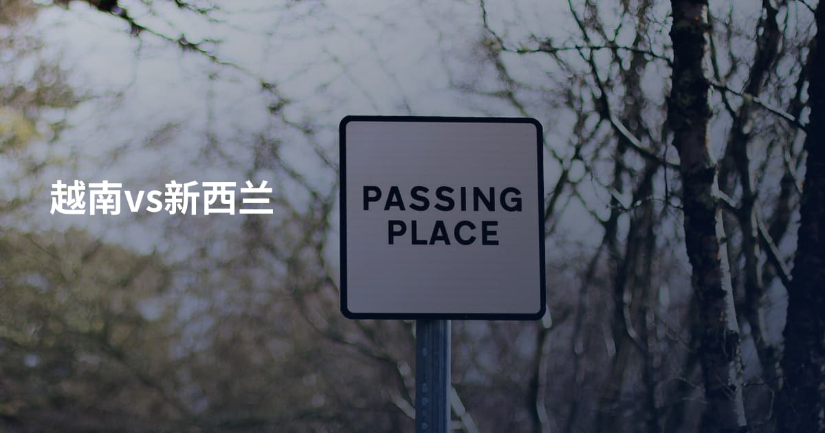 越南vs新西兰
