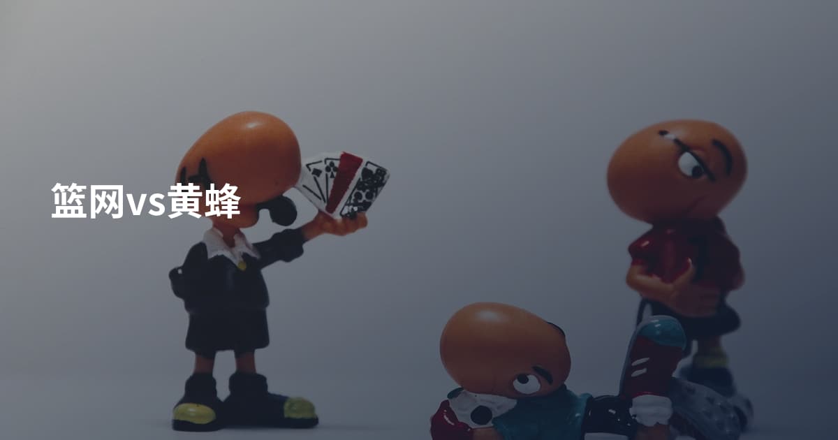 篮网vs黄蜂