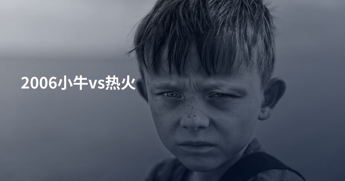 2006小牛vs热火