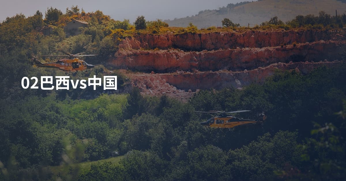 02巴西vs中国