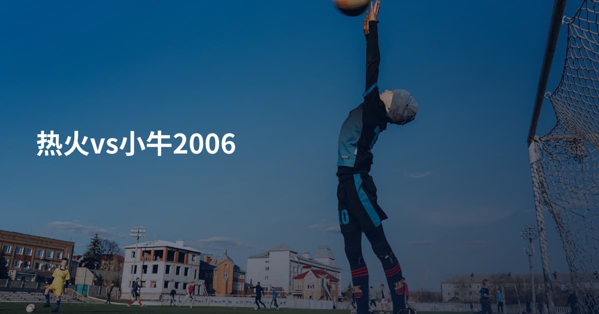 热火vs小牛2006