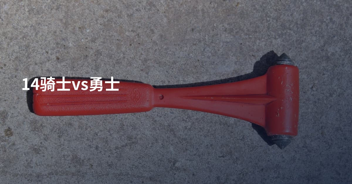14骑士vs勇士
