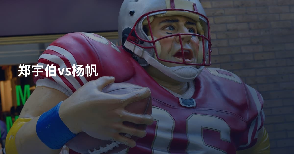 郑宇伯vs杨帆