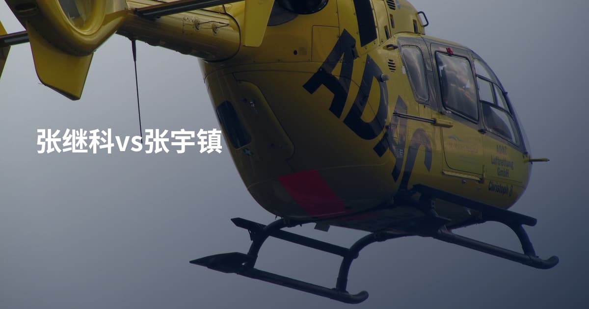 张继科vs张宇镇