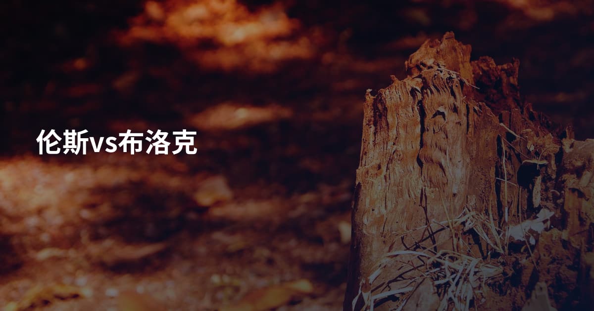 伦斯vs布洛克