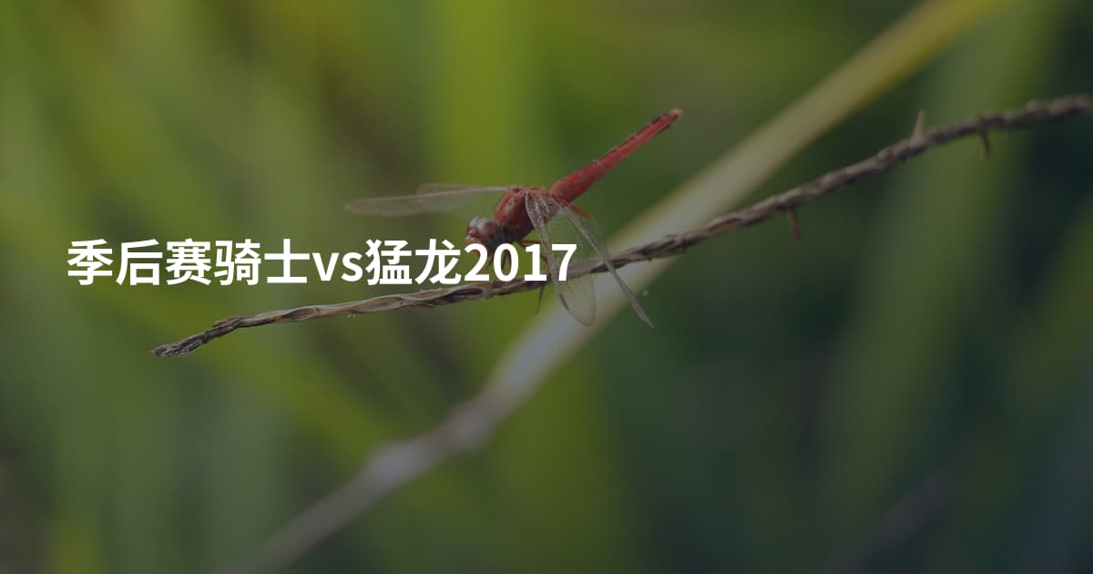 季后赛骑士vs猛龙2017