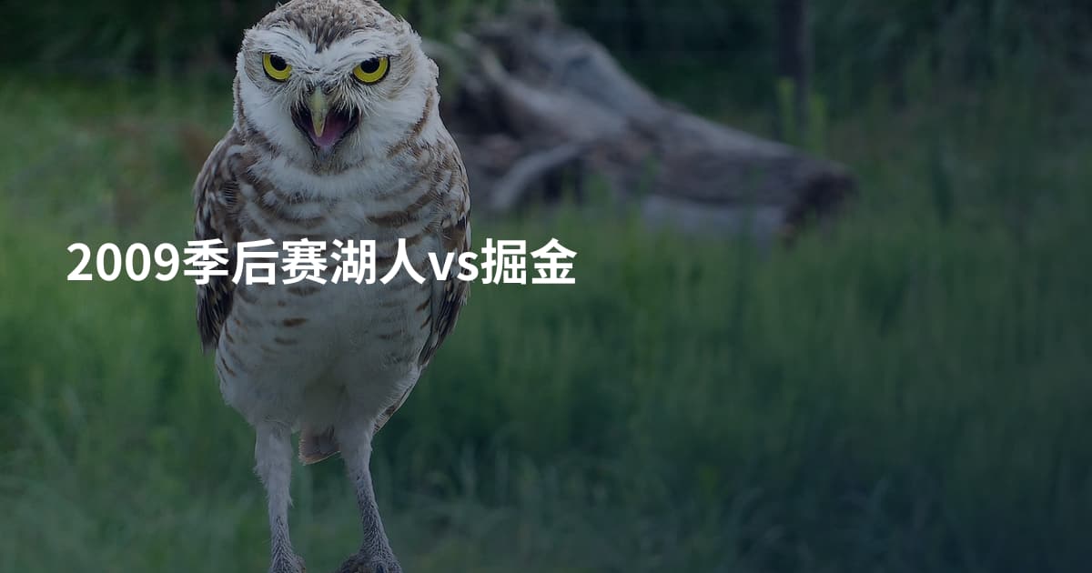 2009季后赛湖人vs掘金