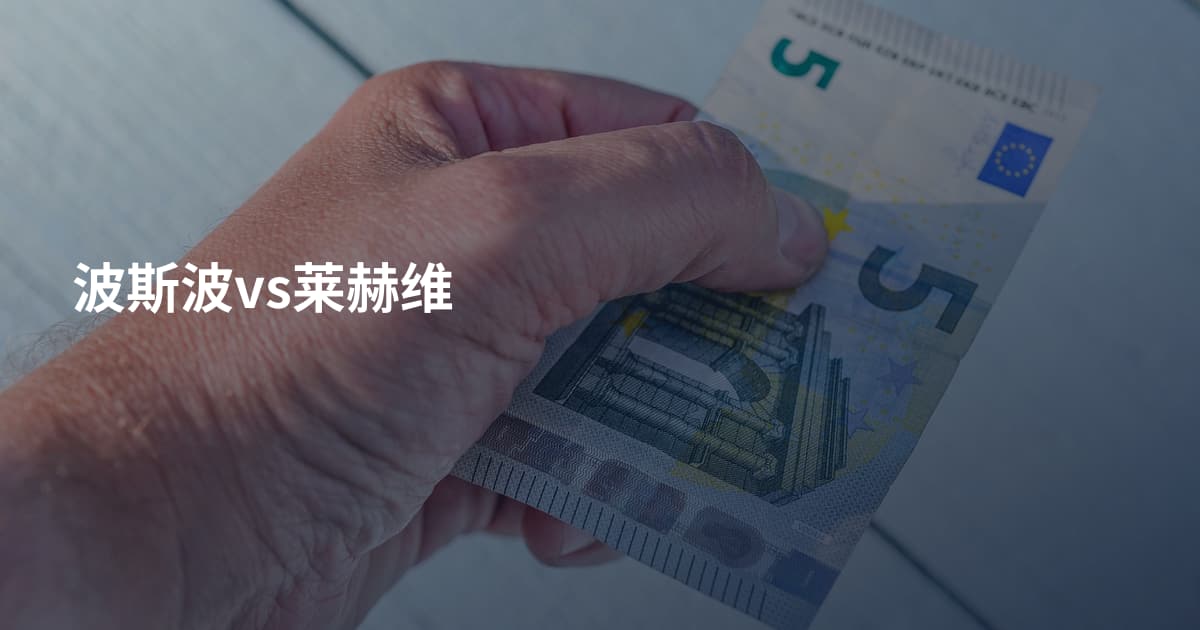 波斯波vs莱赫维