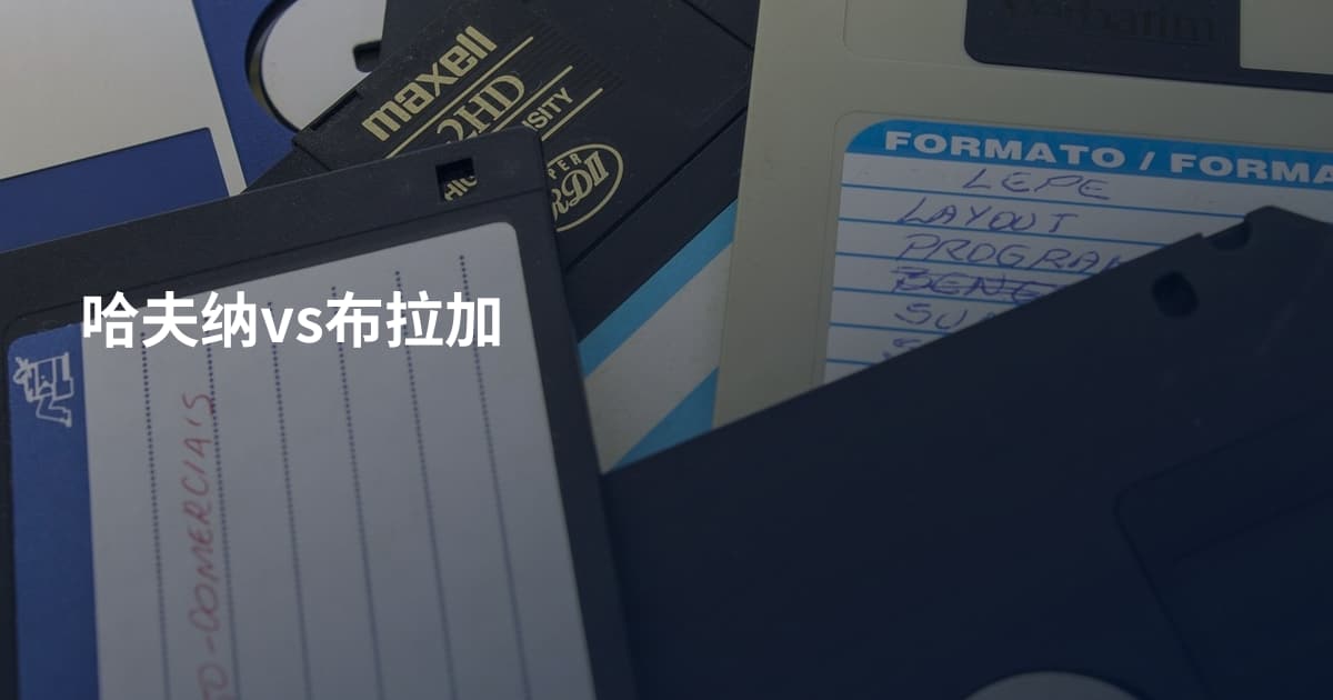 哈夫纳vs布拉加