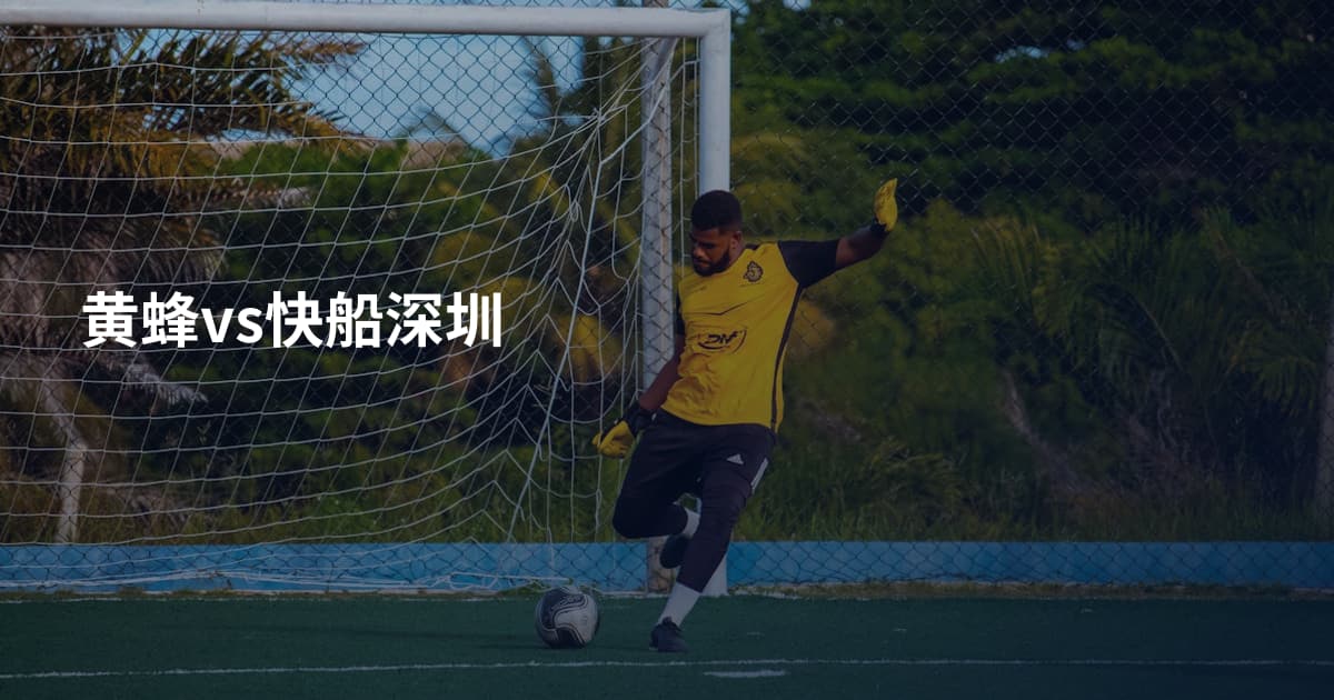 黄蜂vs快船深圳