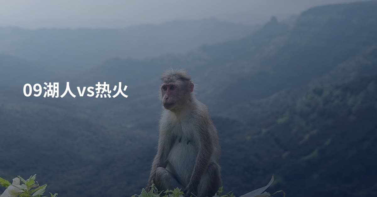 09湖人vs热火