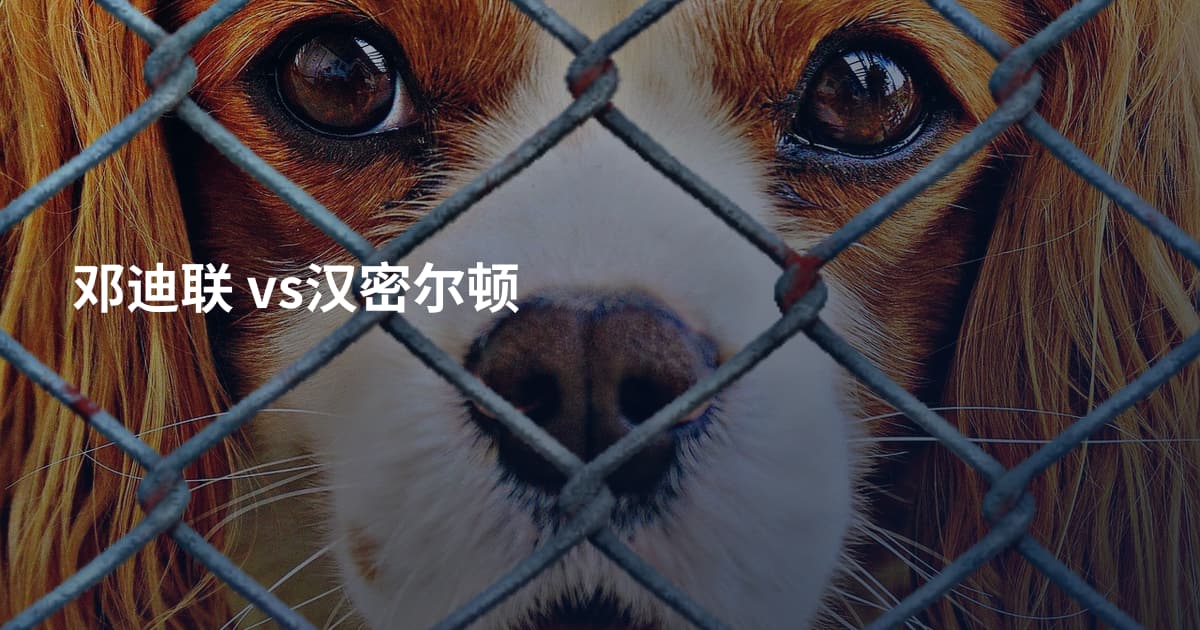 邓迪联 vs汉密尔顿