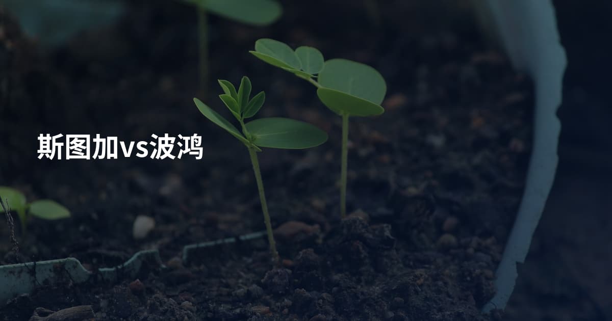 斯图加vs波鸿