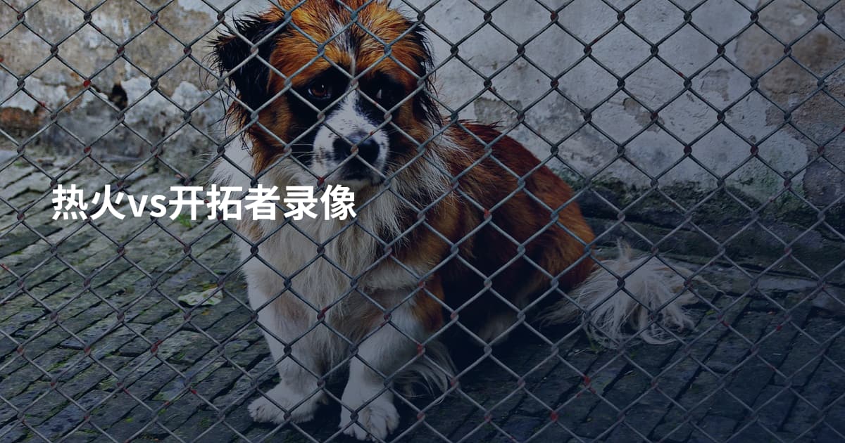 热火vs开拓者录像