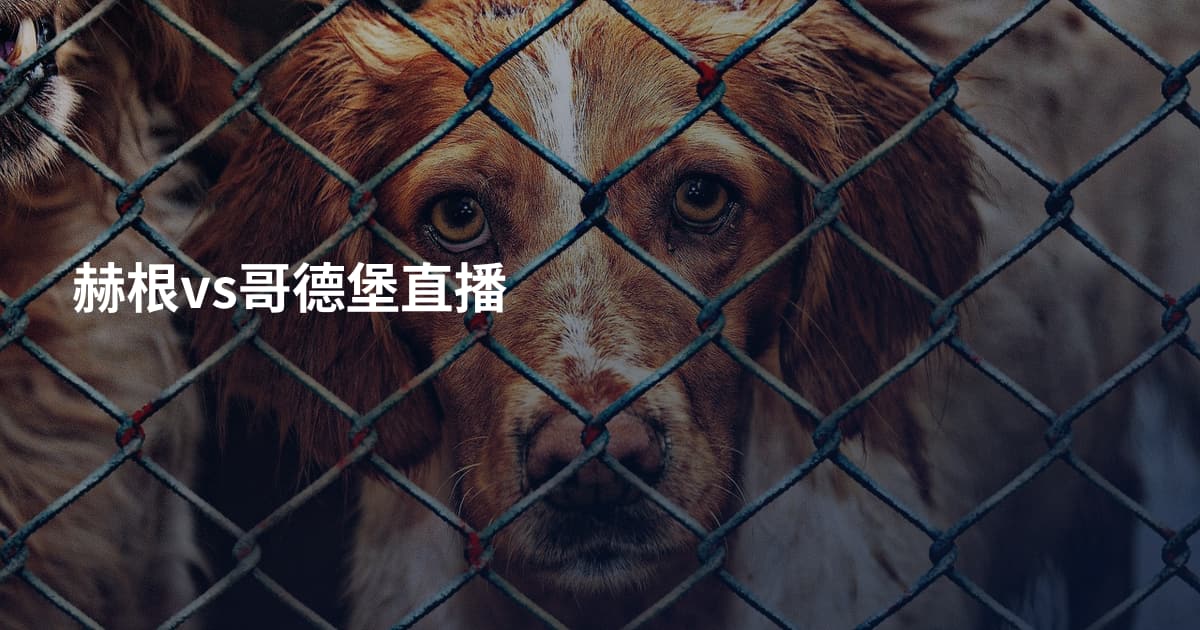 赫根vs哥德堡直播