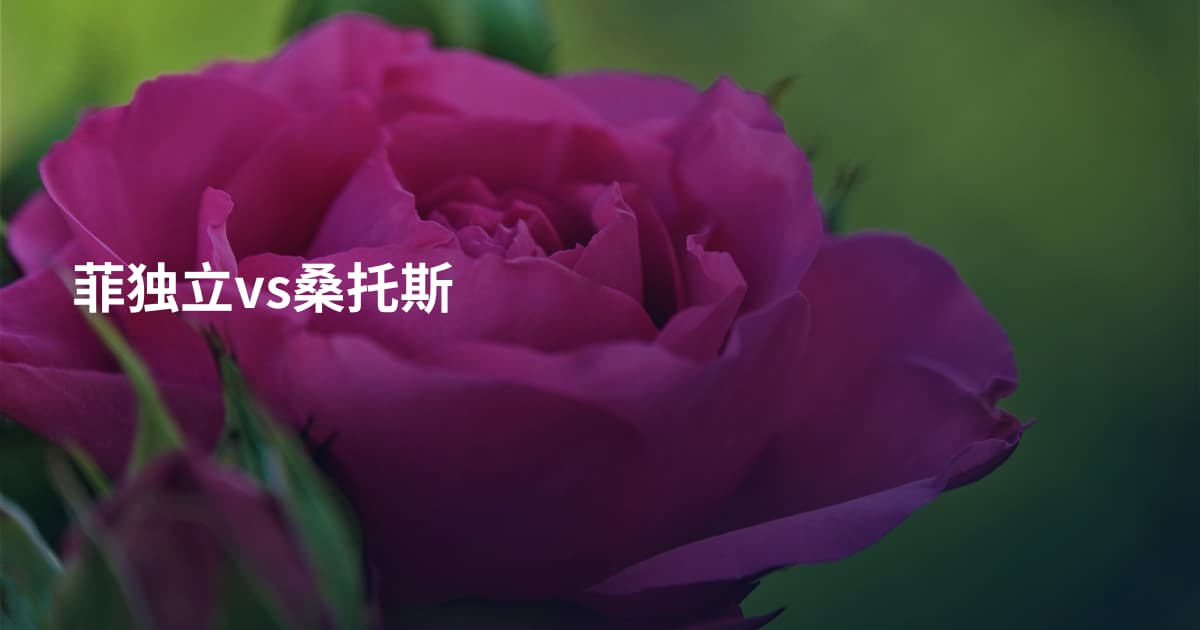 菲独立vs桑托斯