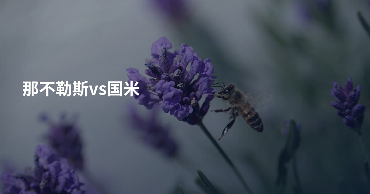 那不勒斯vs国米