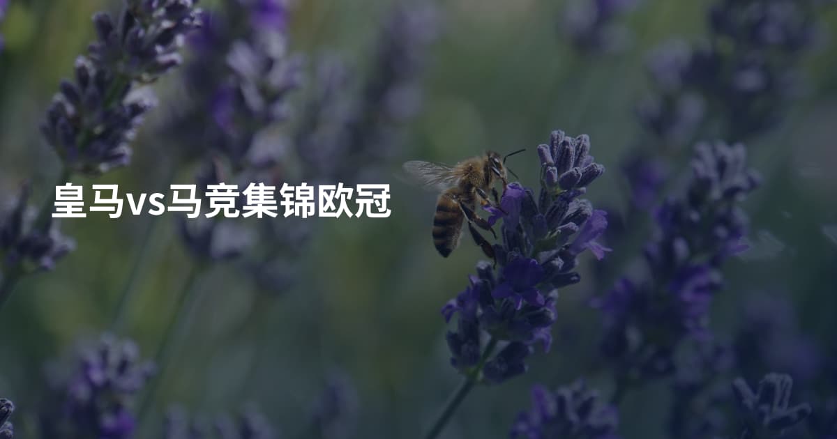 皇马vs马竞集锦欧冠