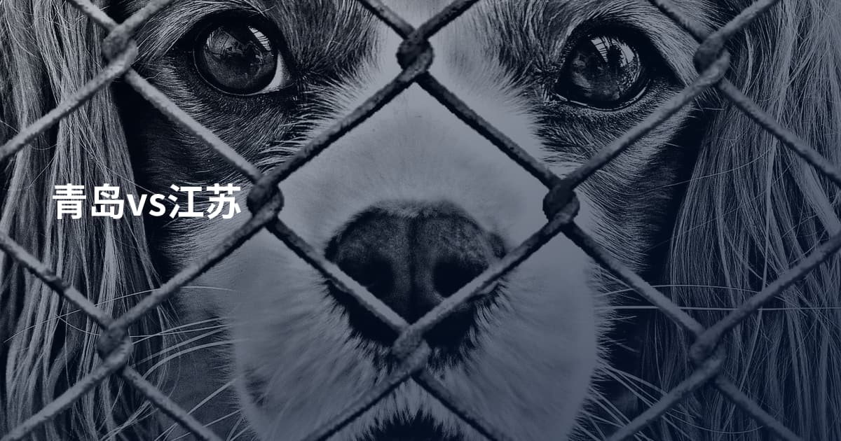 青岛vs江苏