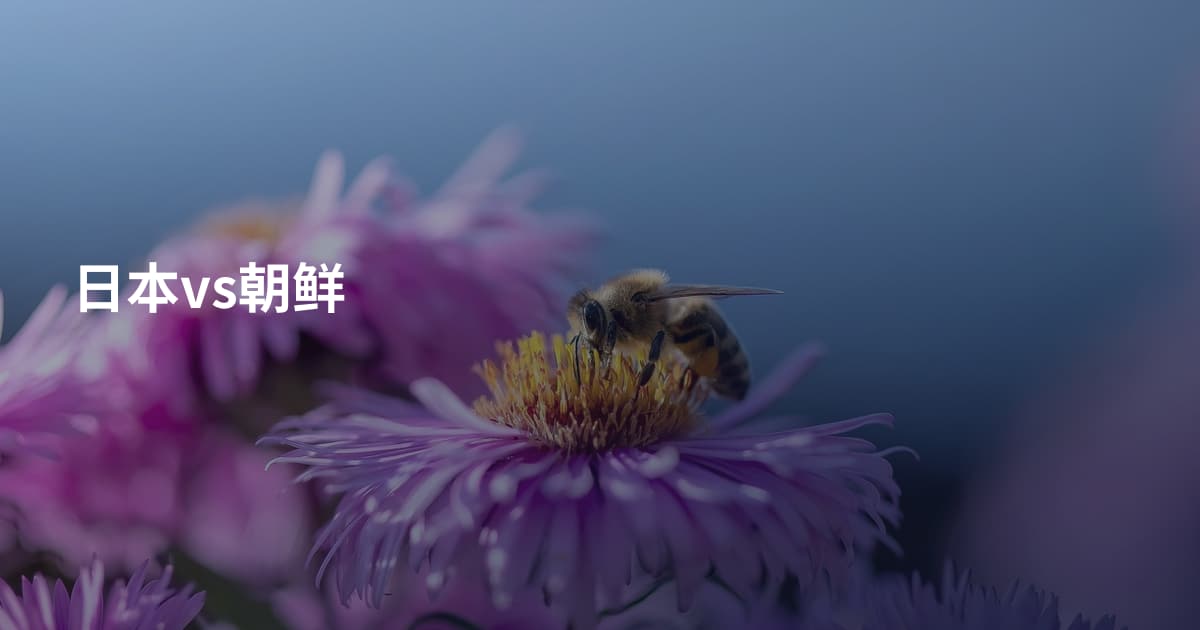 日本vs朝鲜