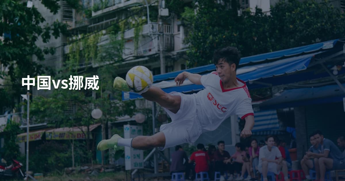 中国vs挪威