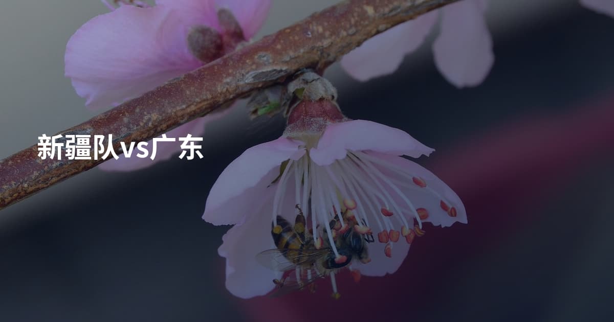 新疆队vs广东