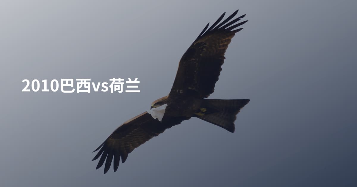2010巴西vs荷兰
