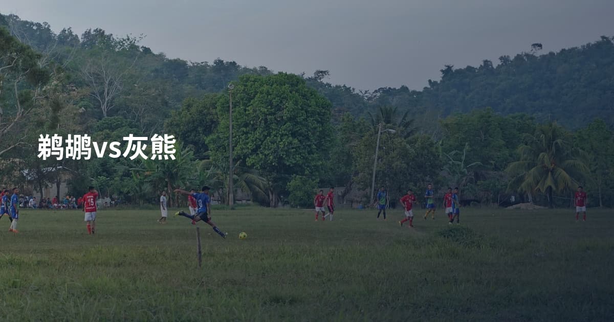 鹈鹕vs灰熊