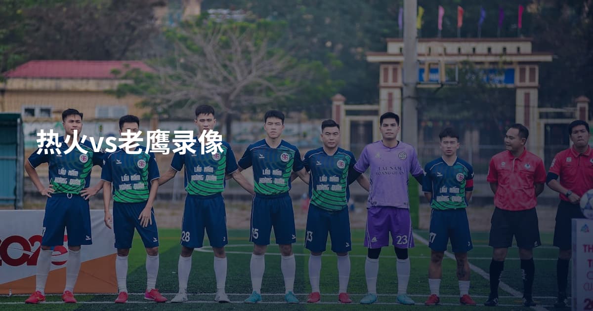 热火vs老鹰录像