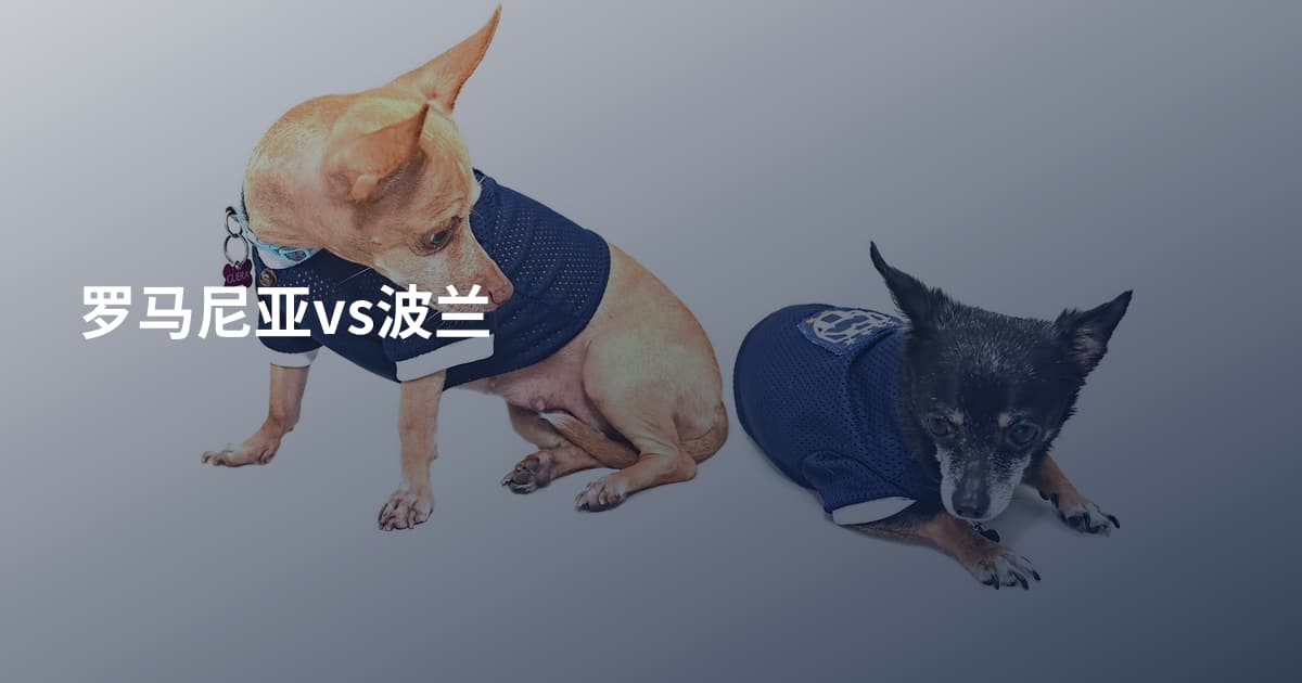 罗马尼亚vs波兰