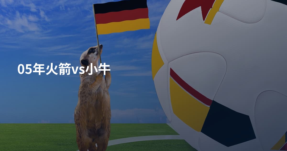 05年火箭vs小牛
