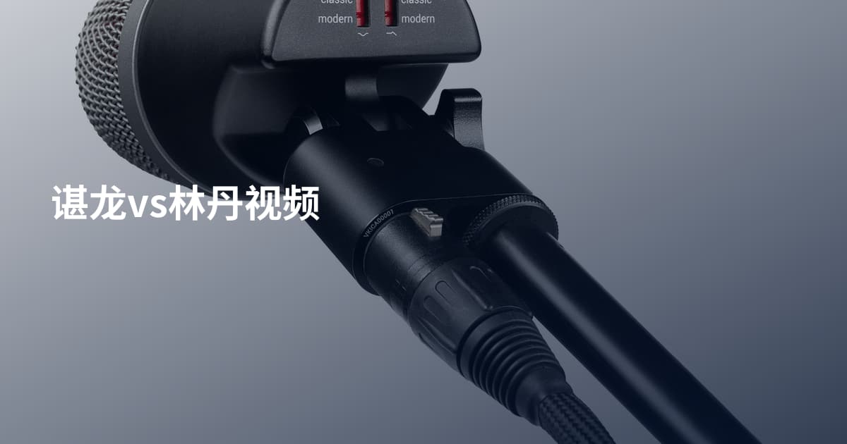 谌龙vs林丹视频