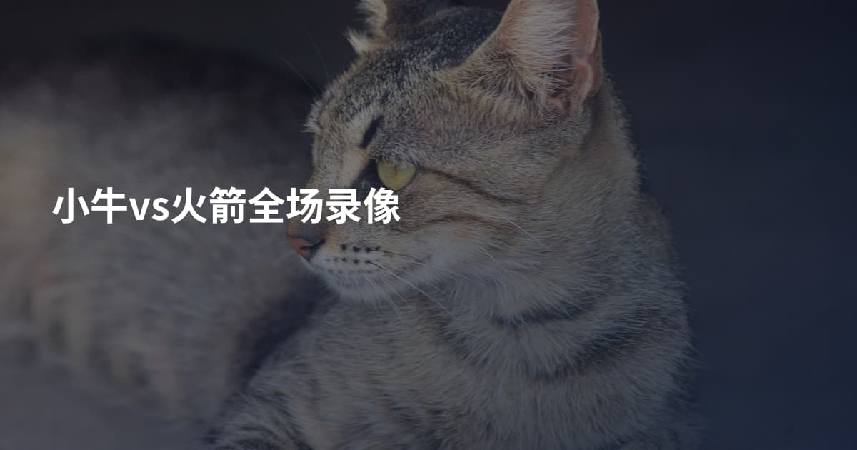 小牛vs火箭全场录像