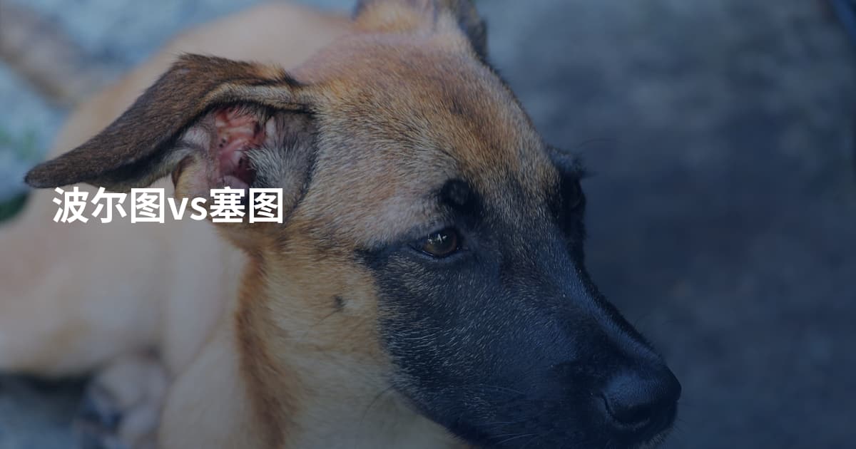 波尔图vs塞图