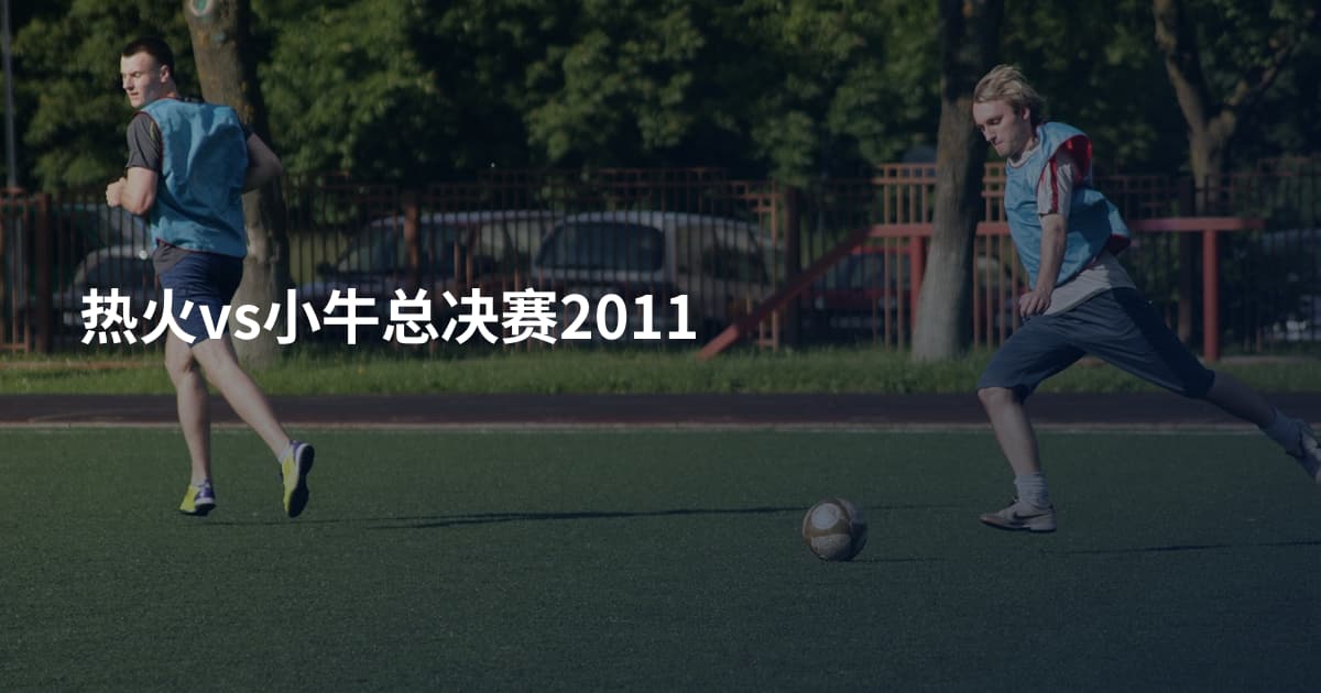 热火vs小牛总决赛2011