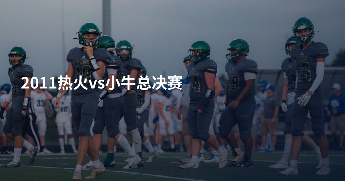 2011热火vs小牛总决赛