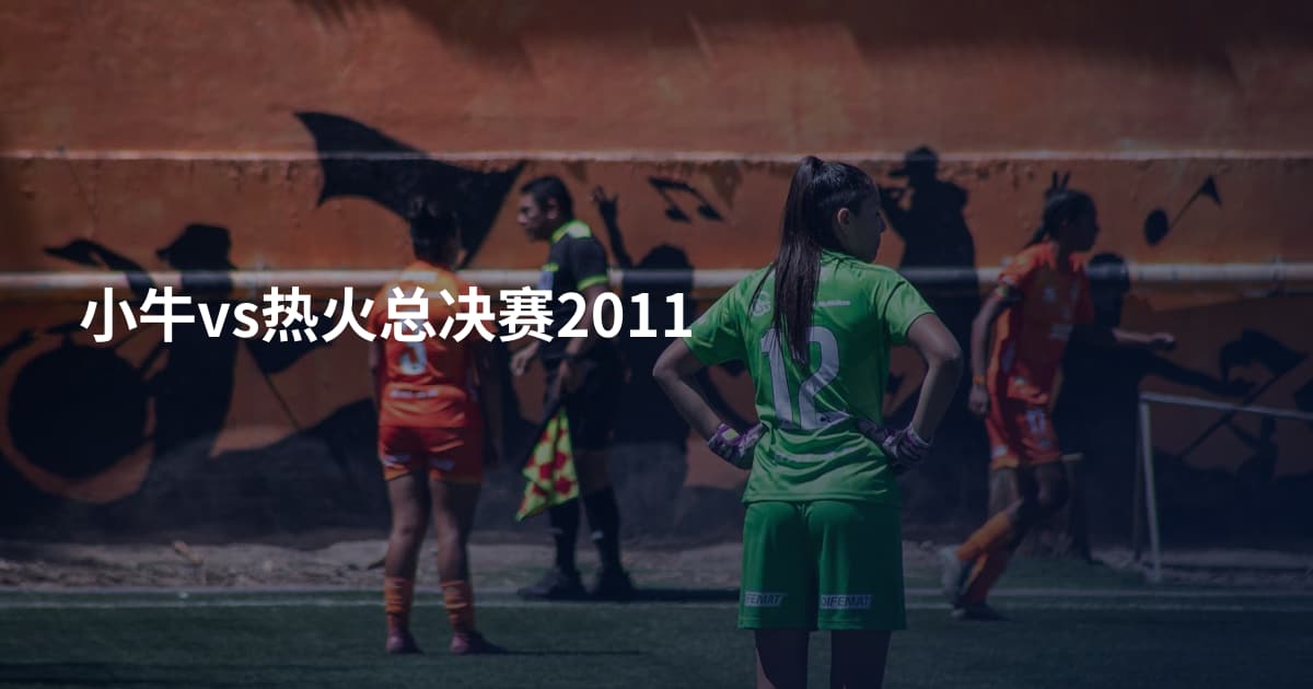 小牛vs热火总决赛2011