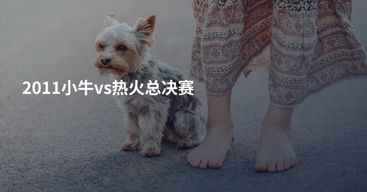 2011小牛vs热火总决赛