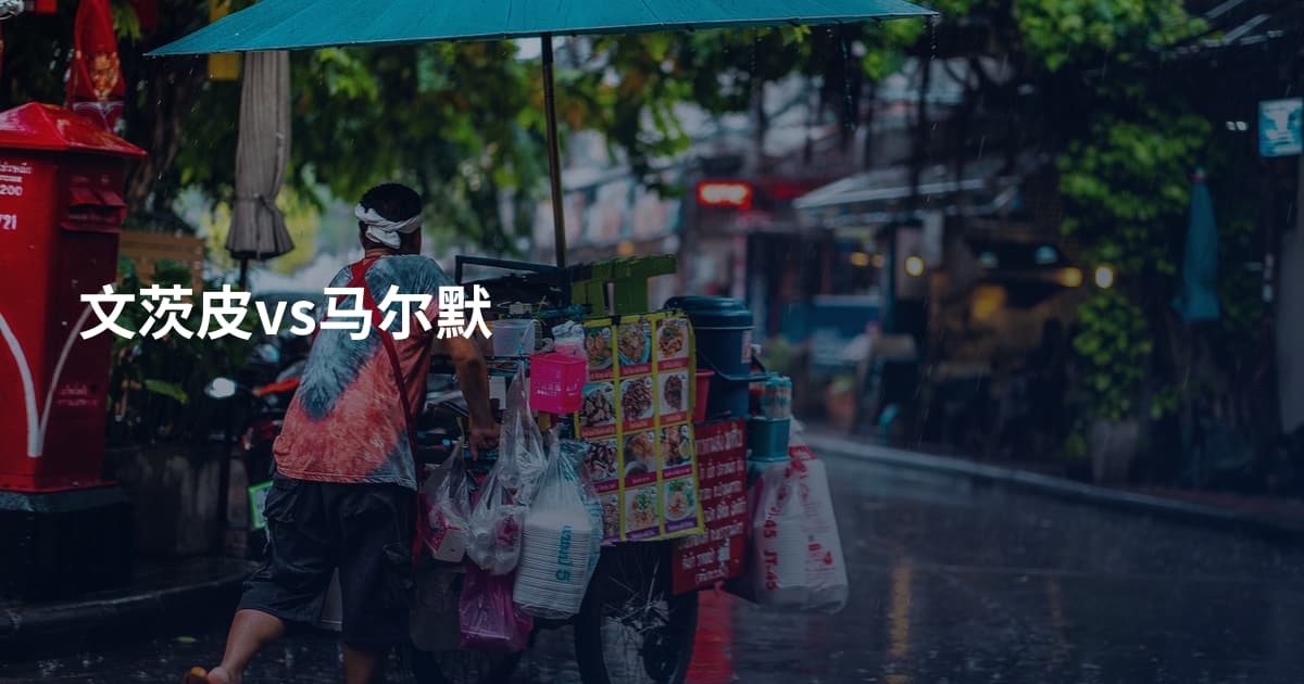 文茨皮vs马尔默