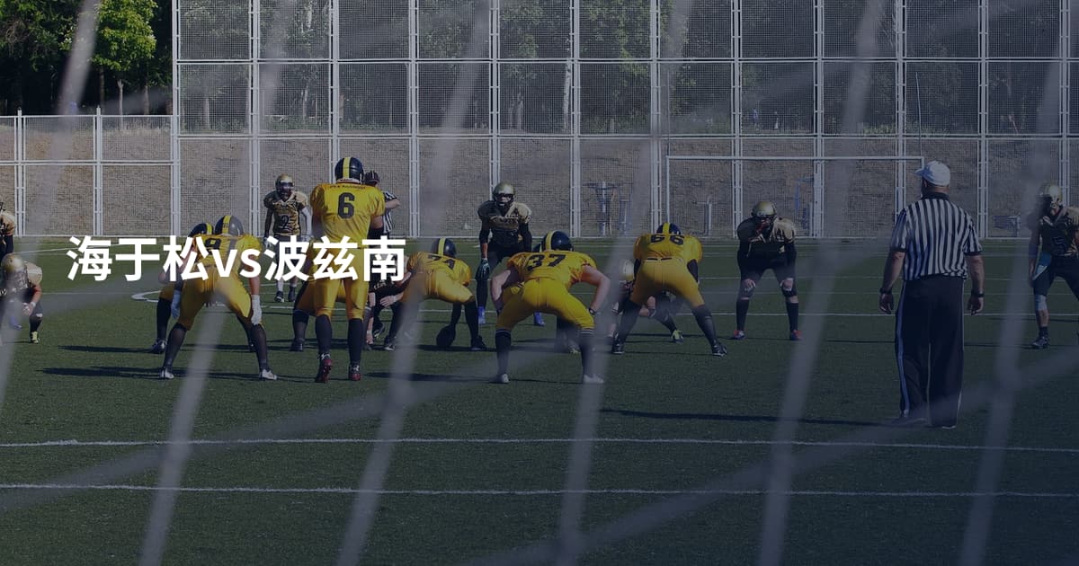 海于松vs波兹南