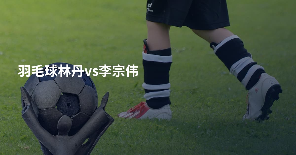 羽毛球林丹vs李宗伟