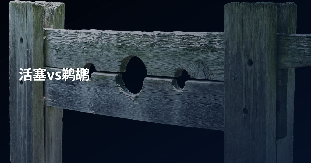 活塞vs鹈鹕