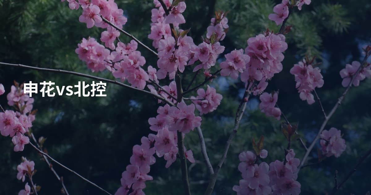 申花vs北控