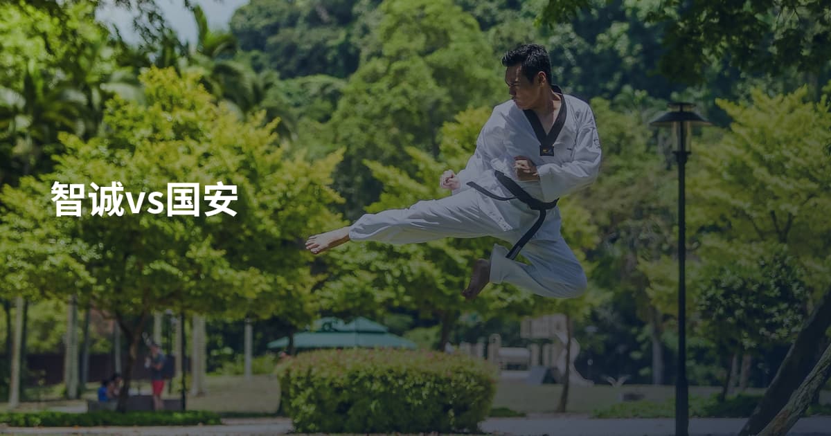 智诚vs国安