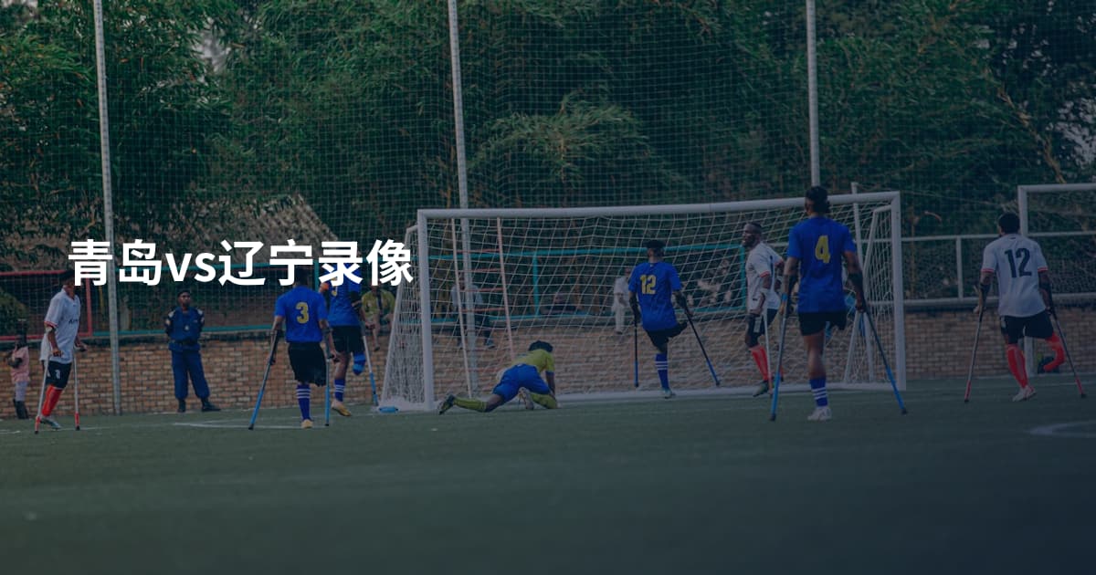 青岛vs辽宁录像