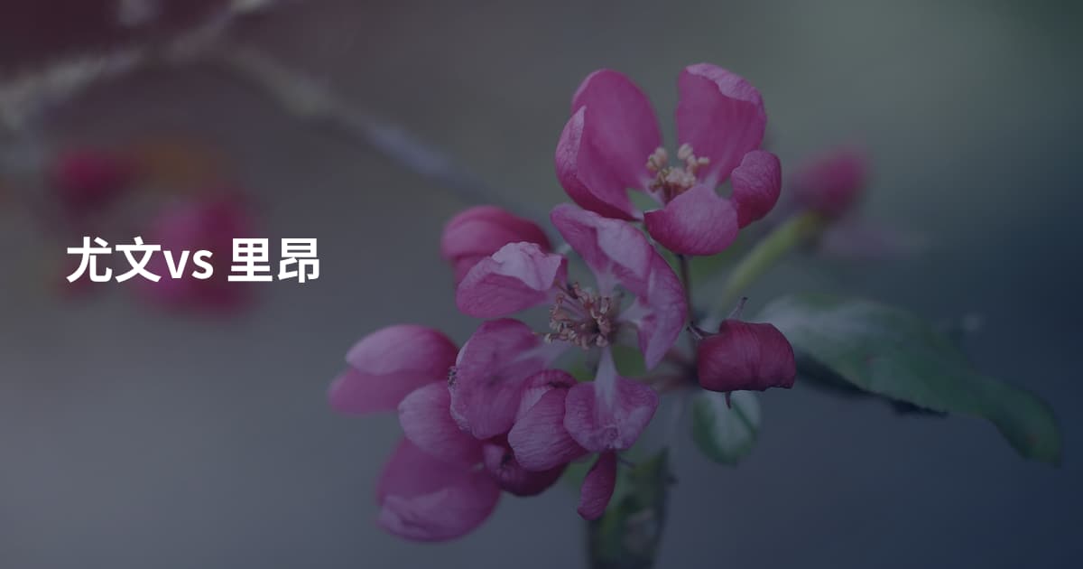 尤文vs 里昂