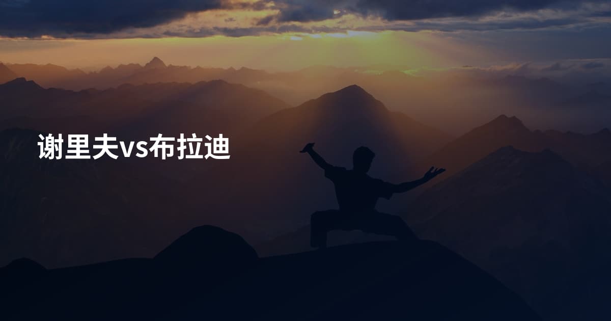 谢里夫vs布拉迪