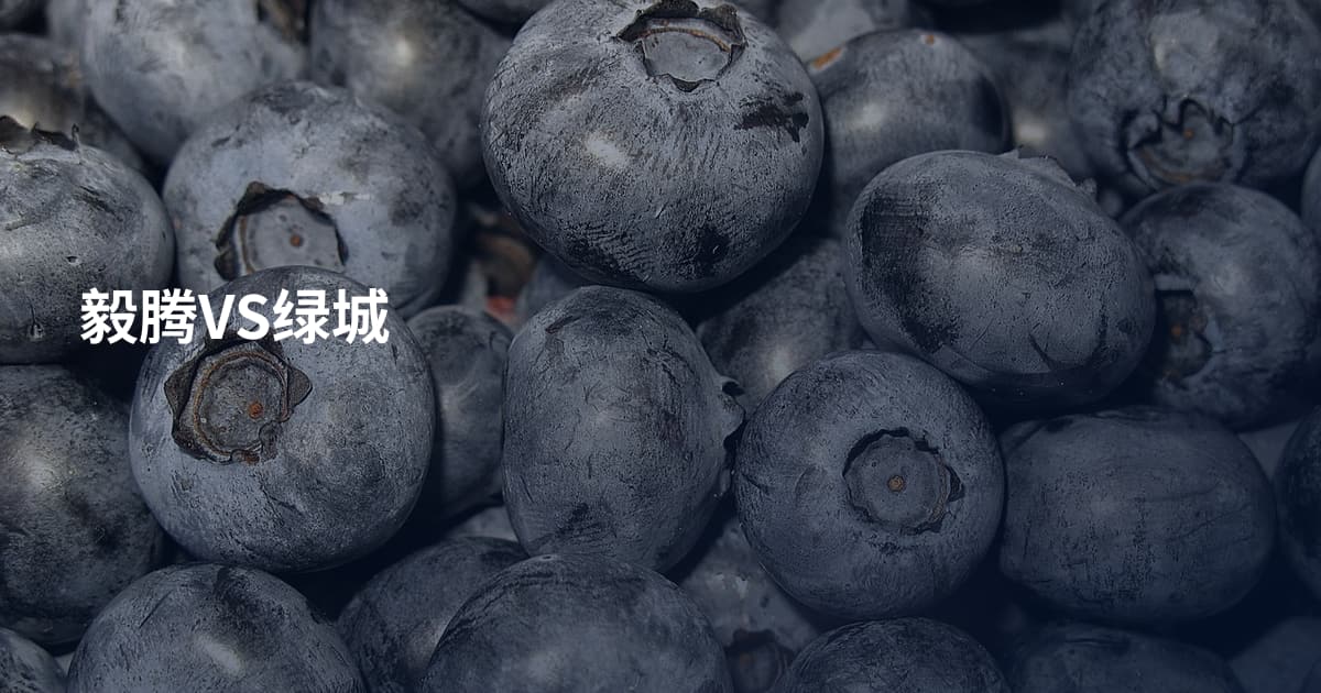 毅腾VS绿城